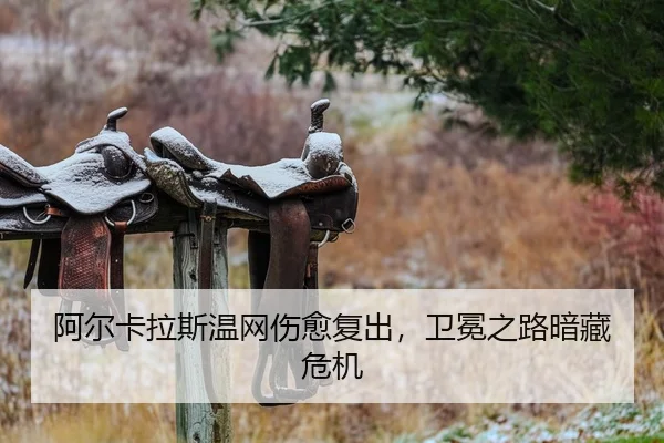 a-er-ka-la-si-wen-wang-shang-yu-fu-chu-wei-mian-zhi-lu-an-cang-wei-ji-2-910.jpg