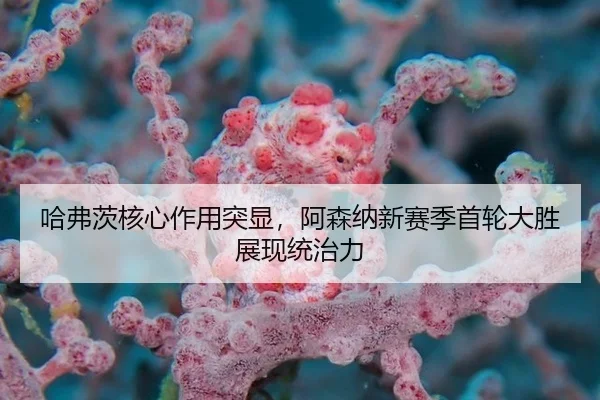 ha-fu-ci-he-xin-zuo-yong-tu-xian-a-sen-na-xin-sai-ji-shou-lun-da-sheng-zhan-xian-tong-zhi-li-3-145.jpg