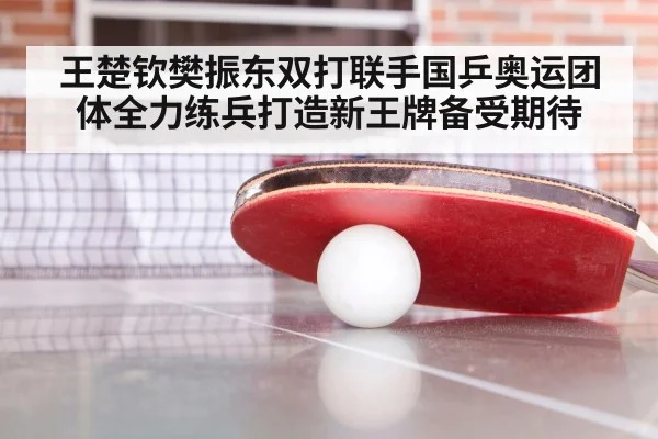 王楚钦樊振东双打联手国乒奥运团体全力练兵打造新王牌备受期待
